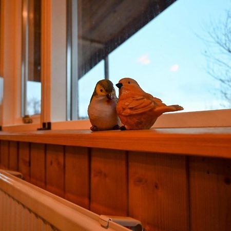 Thingvellir Cabin/Chalet Selfoss Luaran gambar
